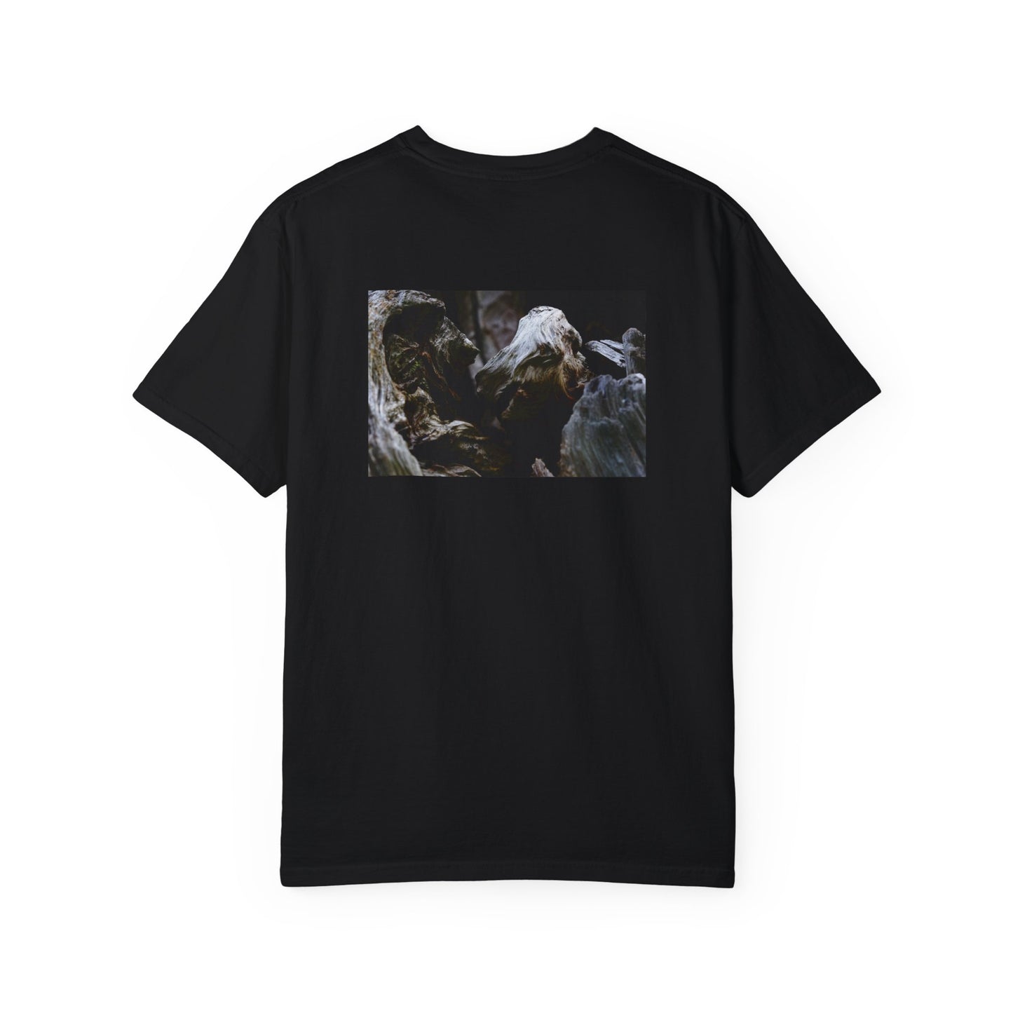 Praying for Wisdom Heavy T-shirt