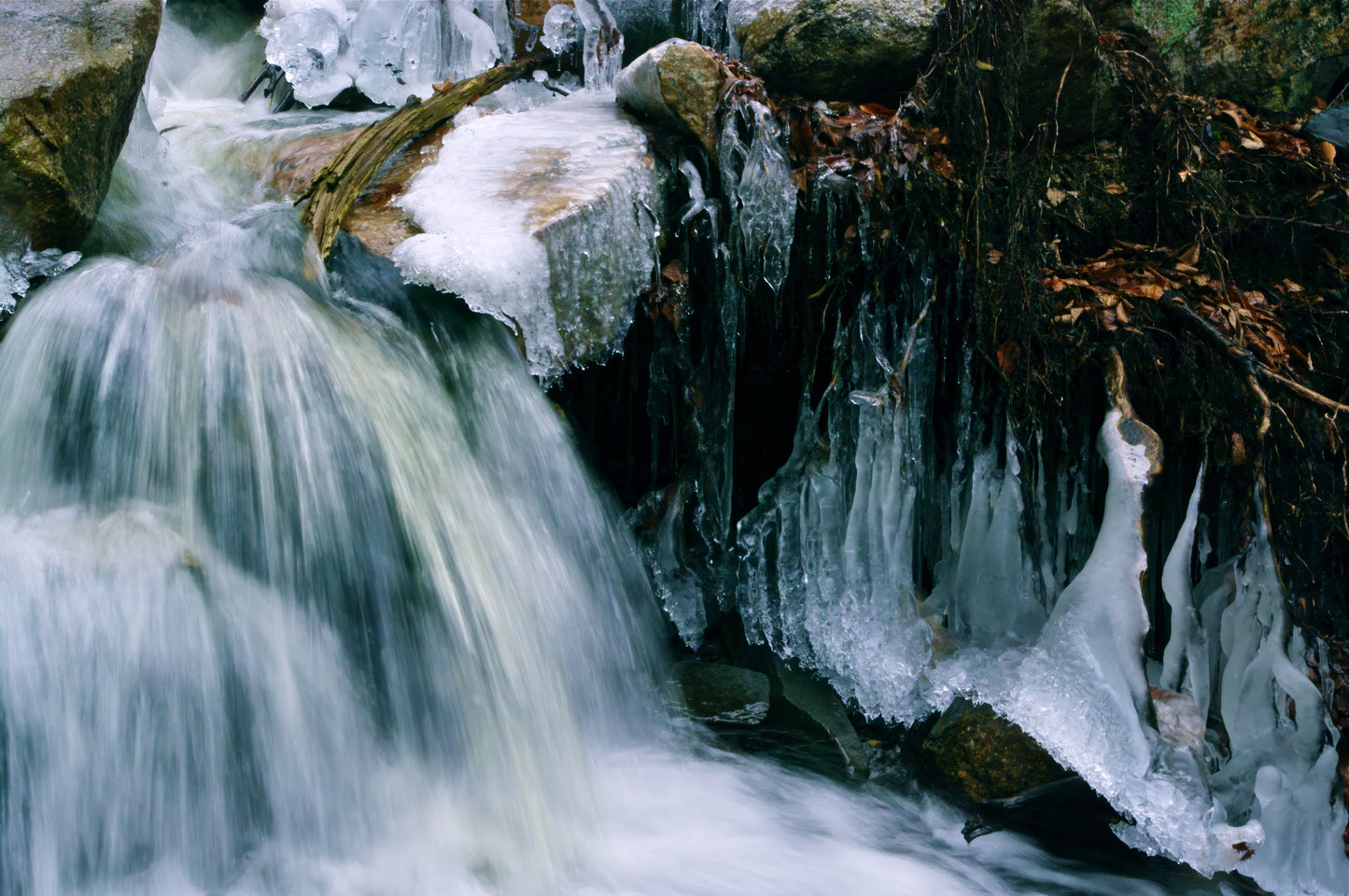 Ice Forms of Lemuria