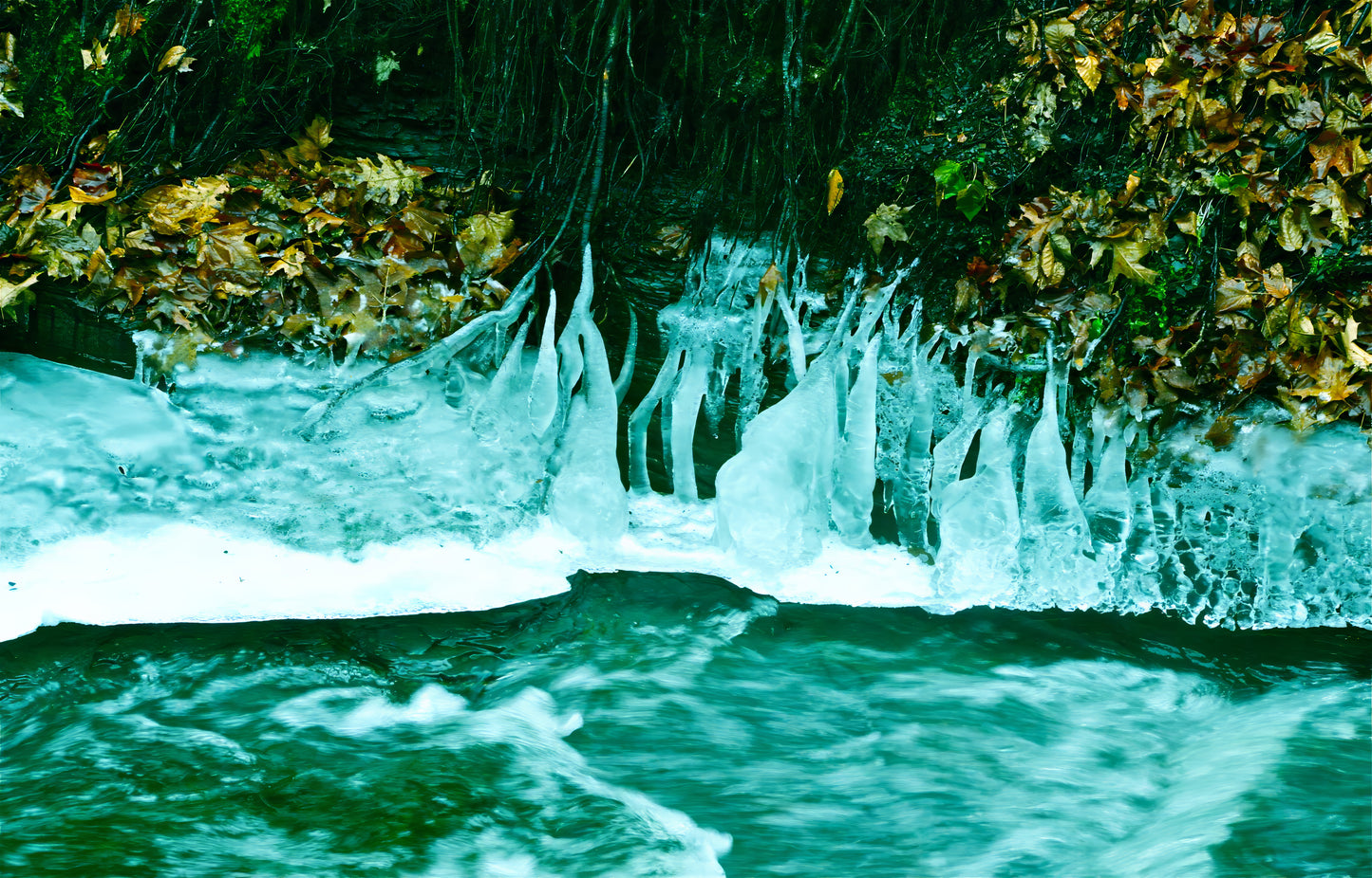 Torrent EnTrance