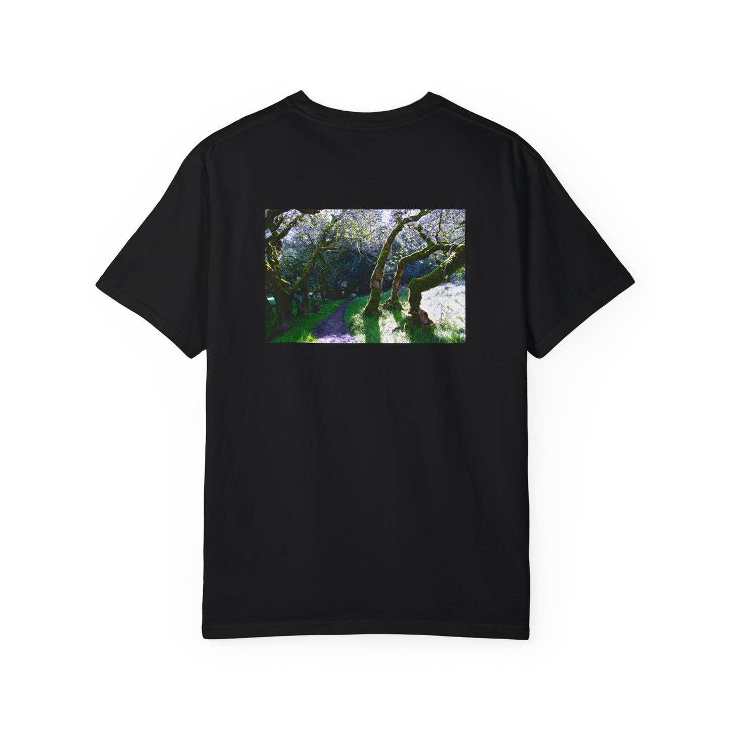 Path to Merlin Heavy T-shirt