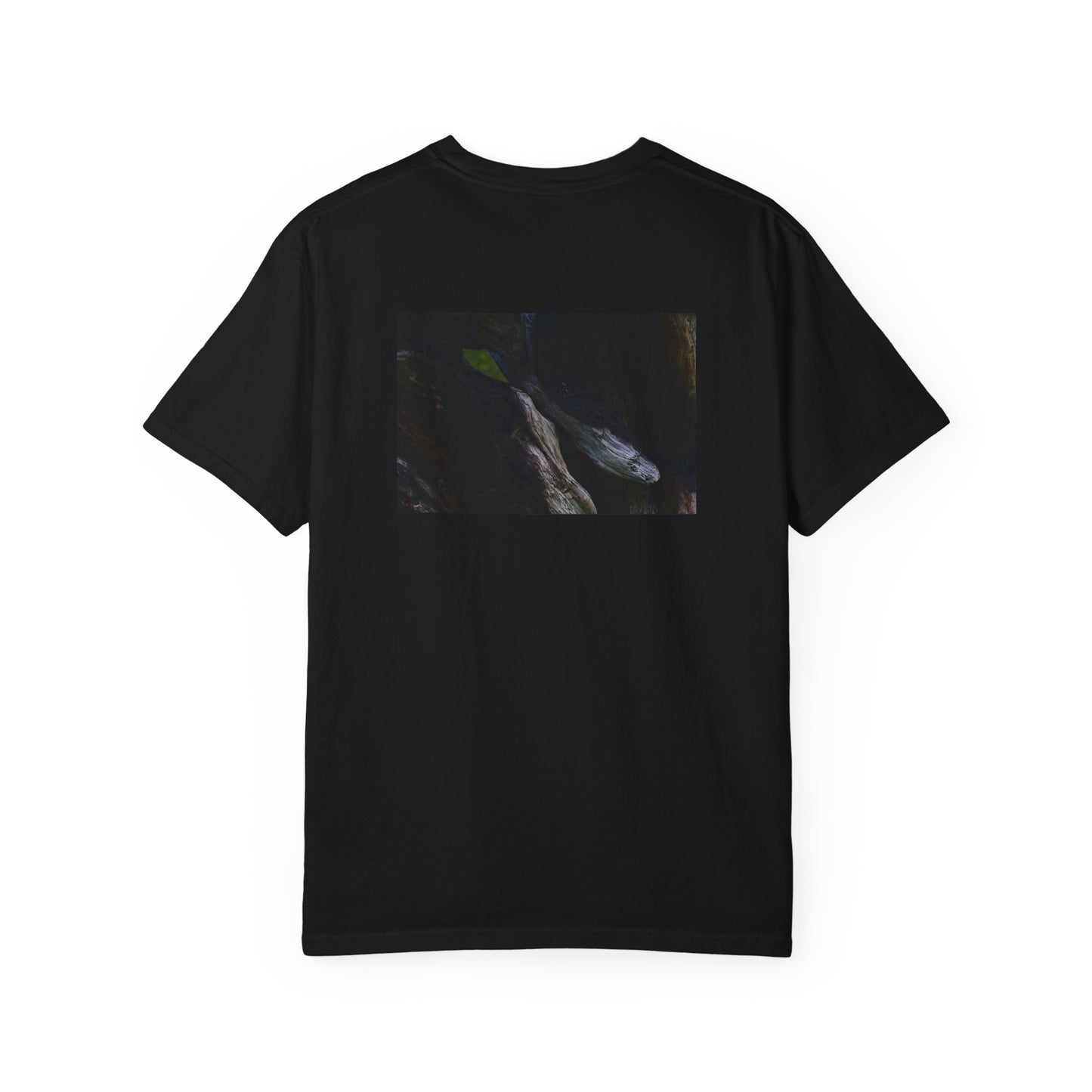Sage and the Serpent Heavy T-shirt
