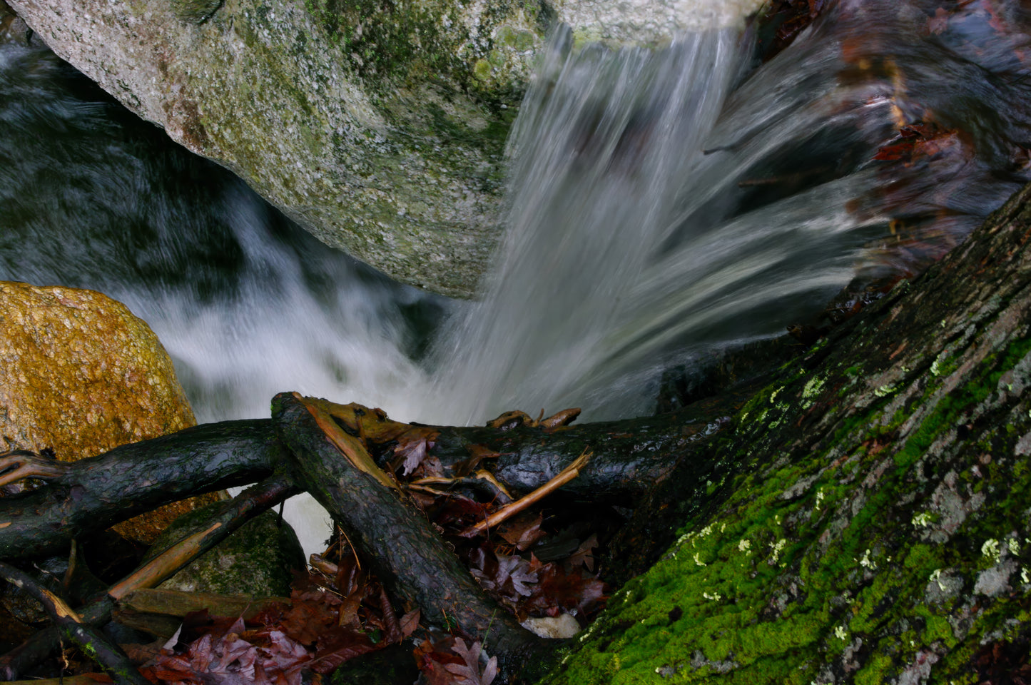Lifeflows