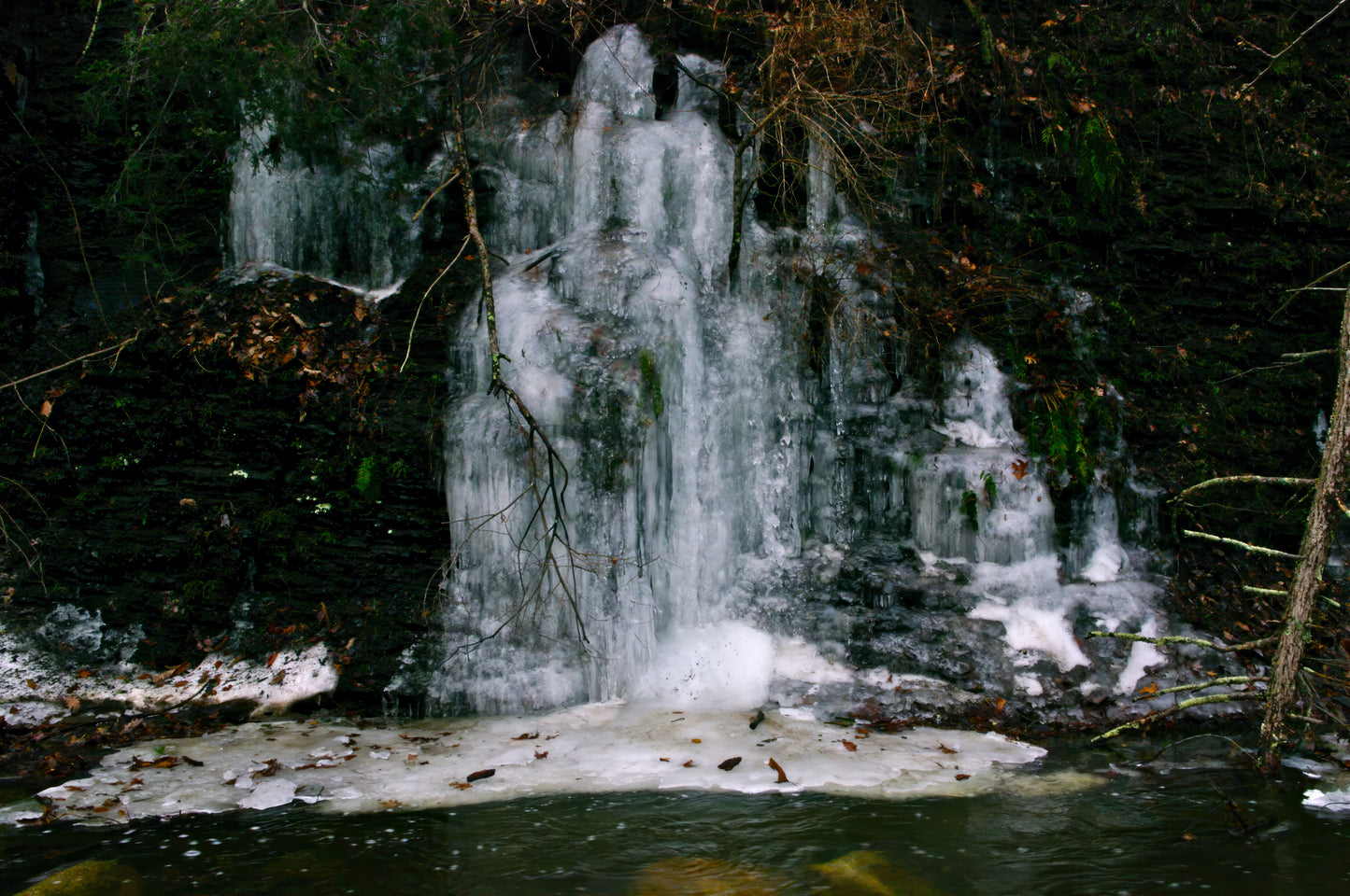 Gate Keeper of Valhalla