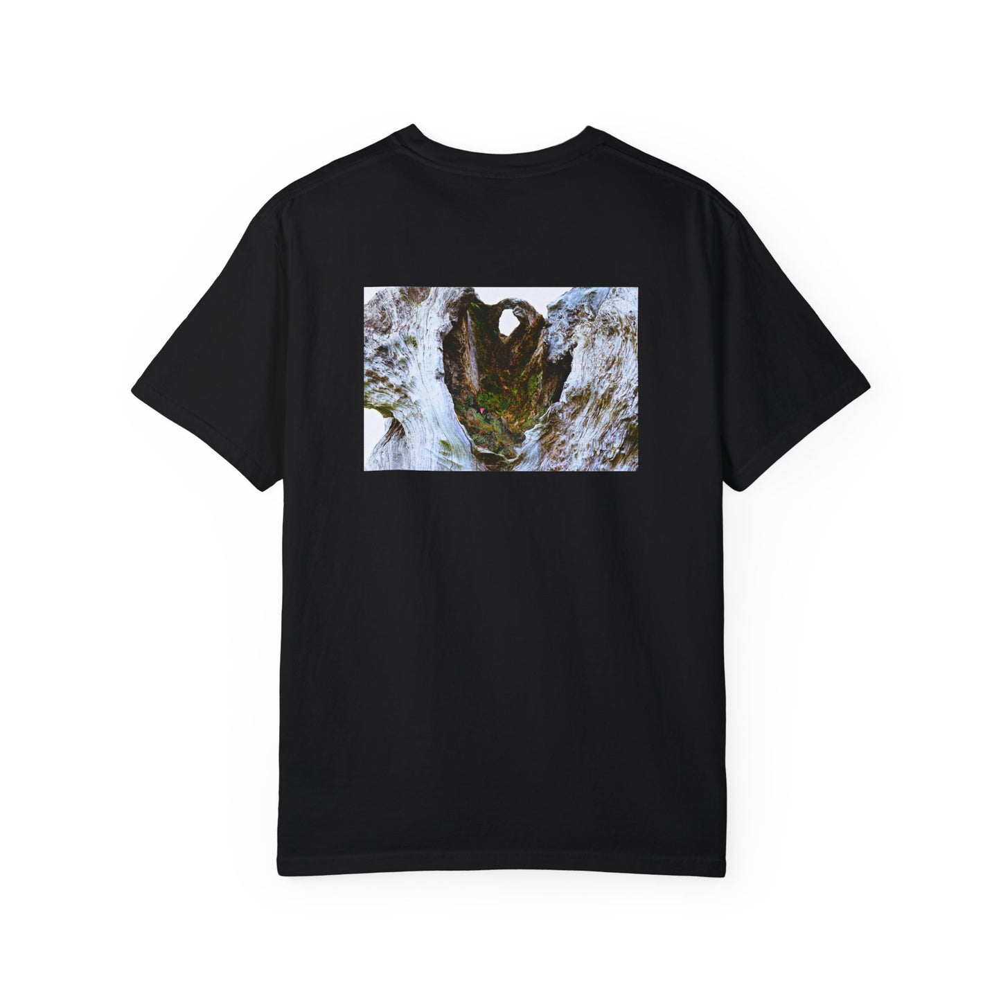 Hidden Holy Grounds Heavy T-shirt