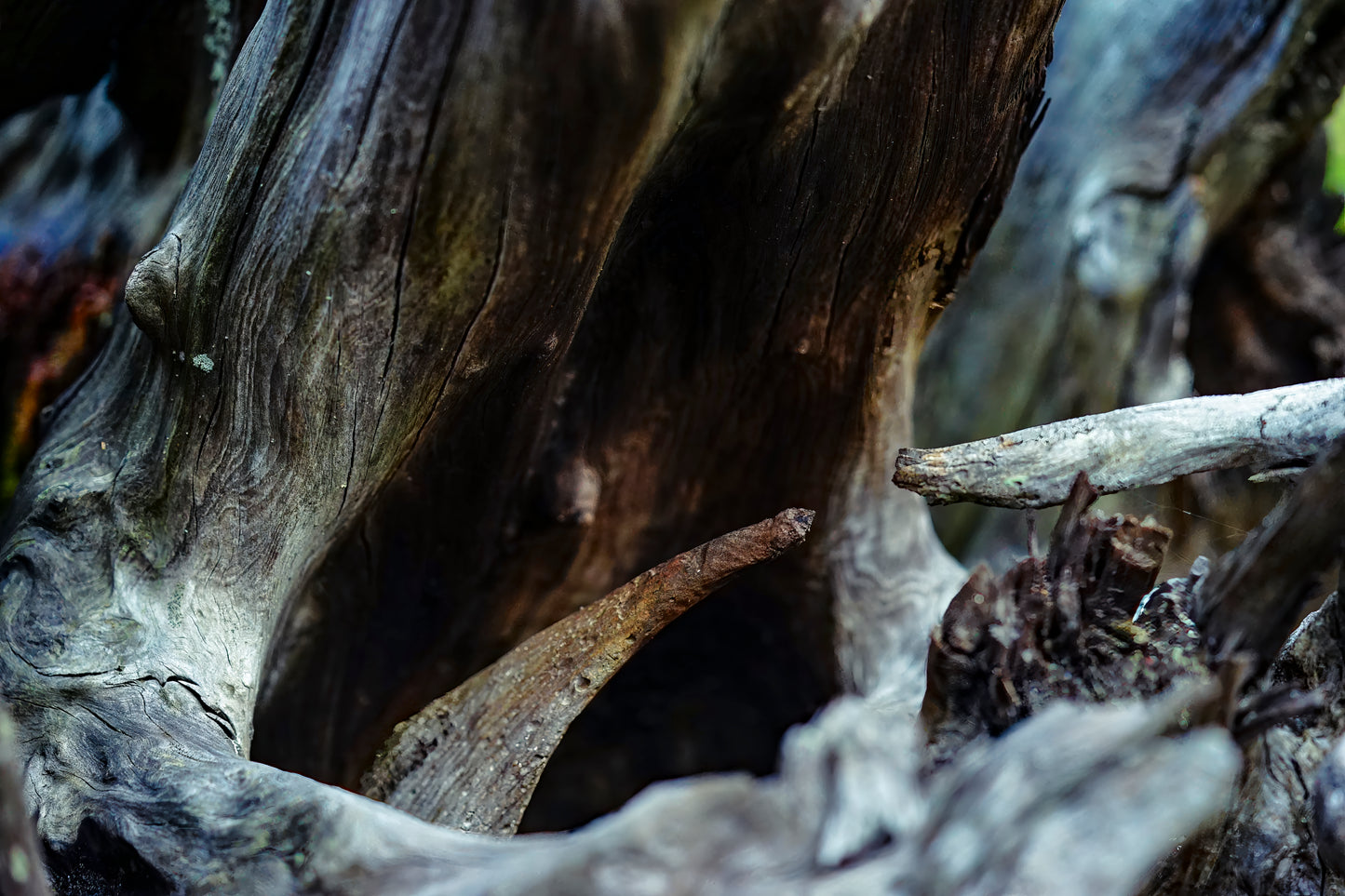 Bridge of the Hollows Divide