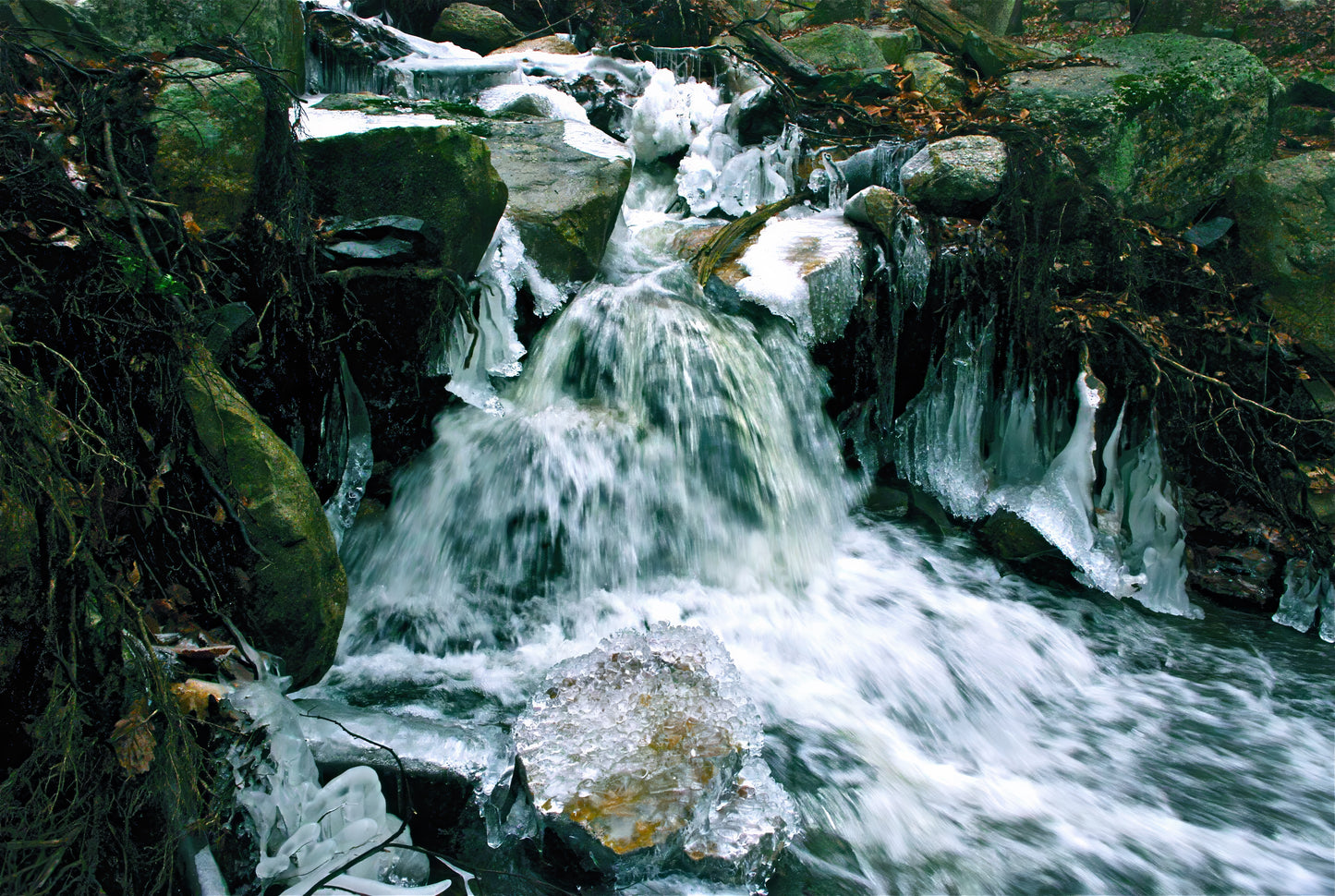 Forms of the Fallen