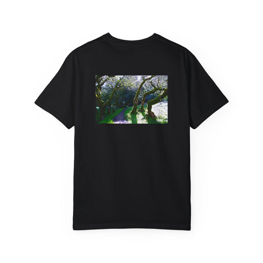 Path to Merlin Heavy T-shirt