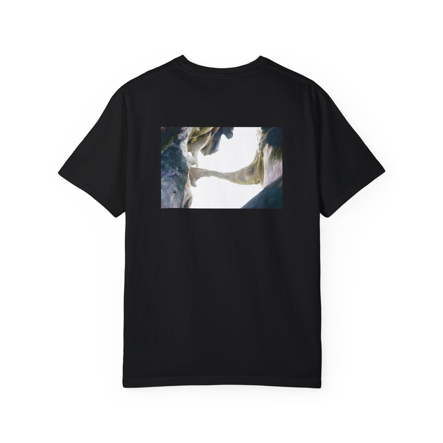 Bridge to Illumination Heavy T-shirt