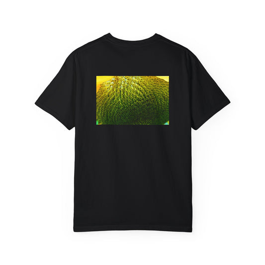 Sacred Symphony Heavy T-shirt