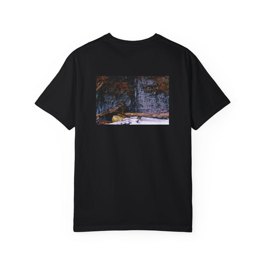 The Ice Painter 3 Heavy T-shirt