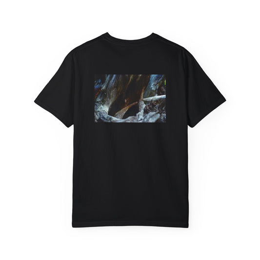 Bridge of the Hollows Divide Heavy T-shirt