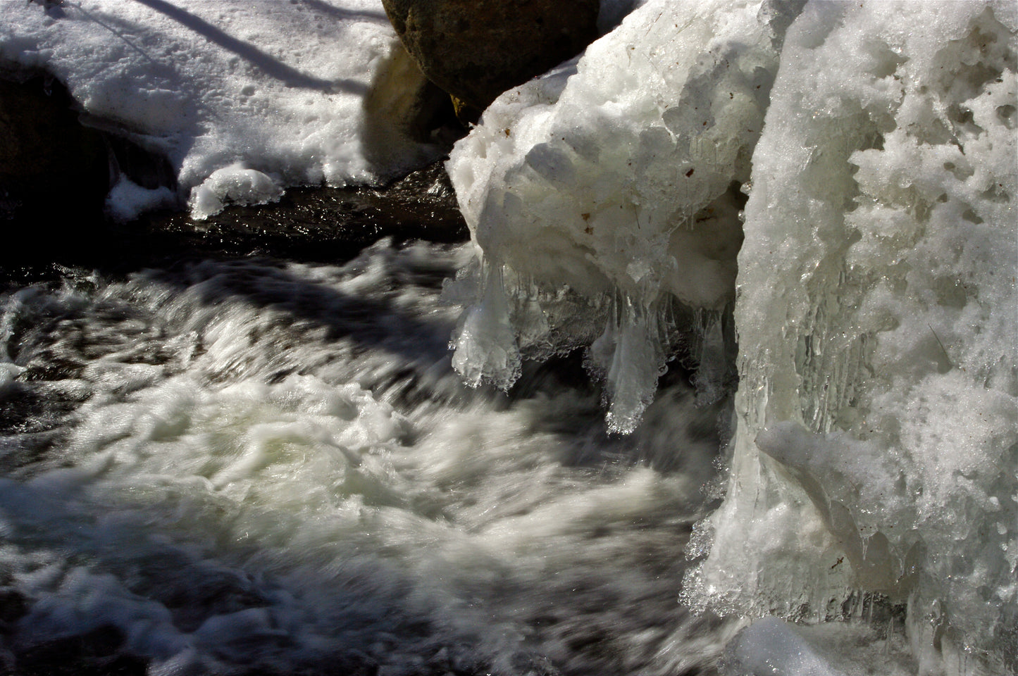 Froth Shadows