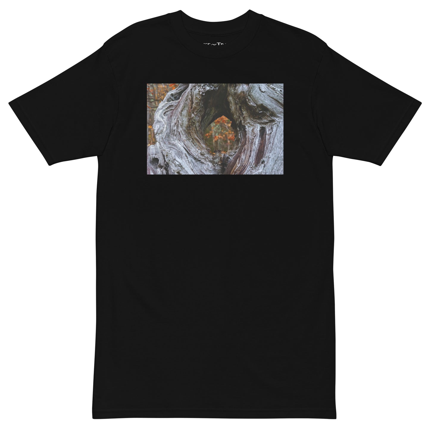 Minds Eye of Thoreau Organic T-Shirt