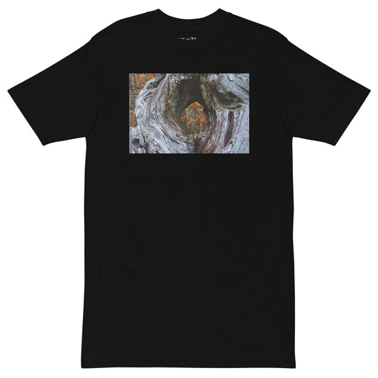 Minds Eye of Thoreau Organic T-Shirt